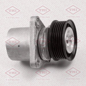 Натяжитель поликлин.ремня с роликом FORD Mondeo/Transit/Galaxy/S-MAX 06-VOLVO S8 TFD1006 TATSUMI