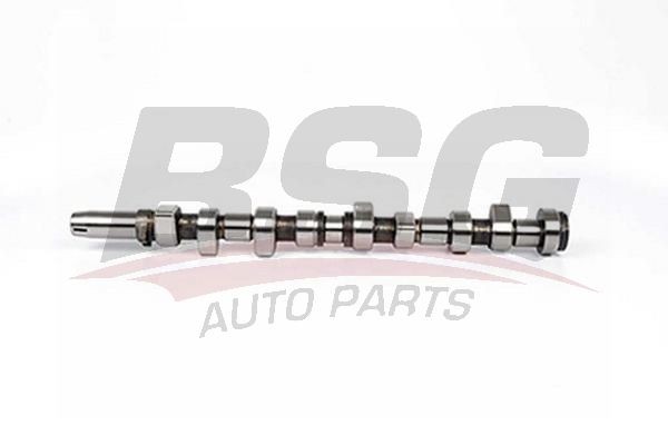 Вал распределительный FORD Escort (88-) BSG BSG30108005 BSG