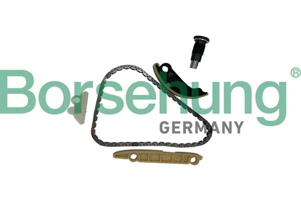 Комплект цепи ГРМ B10254 B10254 BORSEHUNG