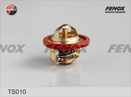 Термостат TS010 FENOX