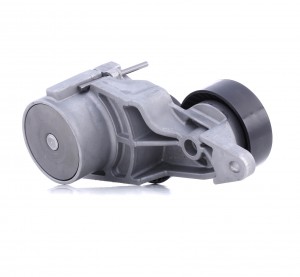 Натяжитель ремня VOLVO S60, S80, XC90 534031910 534031910 INA