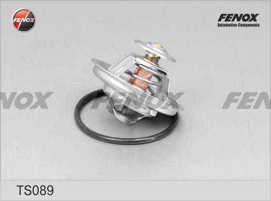 Термостат TS089 FENOX