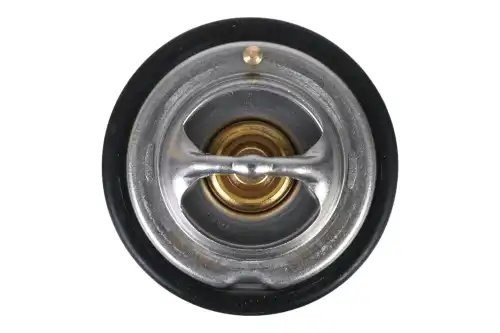 термостат! с прокладкой\ MB W124/W201/W202/W463 2.0TD-3.0TD 83> Z45581 ZENTPARTS