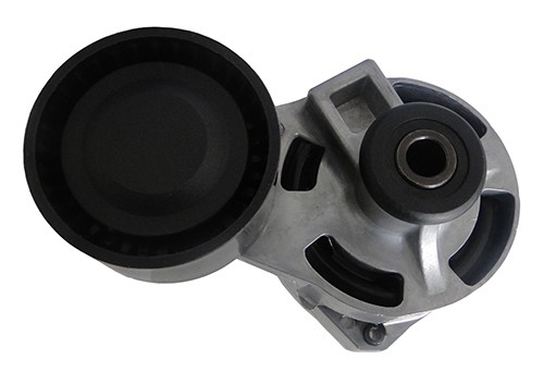 Натяжитель ремня приводного FORD TRANSIT 2.4D/3.2D 06- AG00054 AG00054 MILES