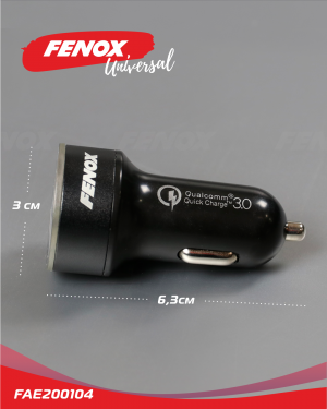 Зарядное устройство универсальное 2 USB PC пласик, металл, 2 USBх5.5А, 12-24В, с FAE200104 FENOX