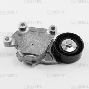 CITROEN C4 GRAND PICASSO (2006>) 55CA195 CARBERRY