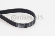 Поликлиновой ремень 7PK2035 7PK2035 CONTINENTAL