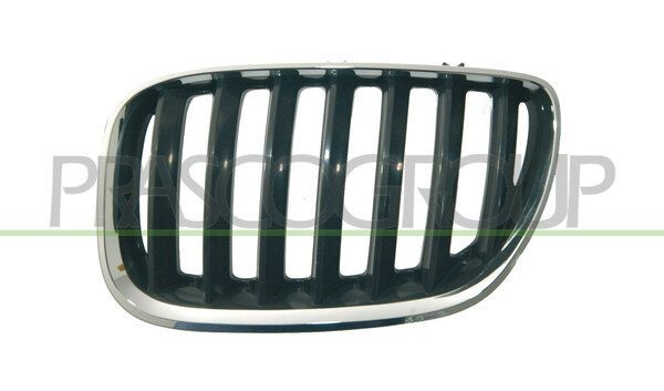 решетка радиатора левая! черная хромированная\ BMW E53 3.0-4.8i/3.0D 00-06 BM8202024 PRASCO GROUP
