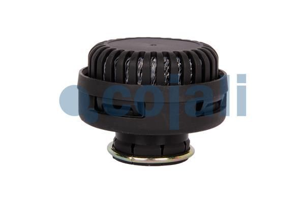 Глушитель влагоотделителя (ан.Wabco 4324070700/43204070120) (замена 2203103) (Co 2203102 COJALI