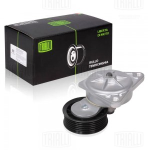 Ролик привод. ремня Ford Focus I (98-) 1.6i/1.8i/2.0i Zetec-E (с натяж. мех.) (C CM 1007 TRIALLI