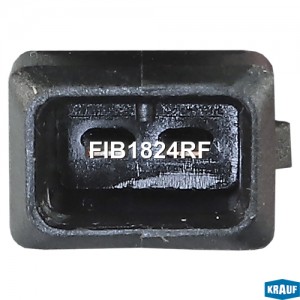 р/к форсунок!кольца уплот. 20шт.,гайки 4 шт.\ Lada 2110 FIB1824RF KRAUF