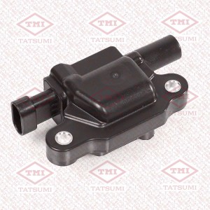 CADILLAC ESCALADE III (2006-2014) THG1195 TATSUMI