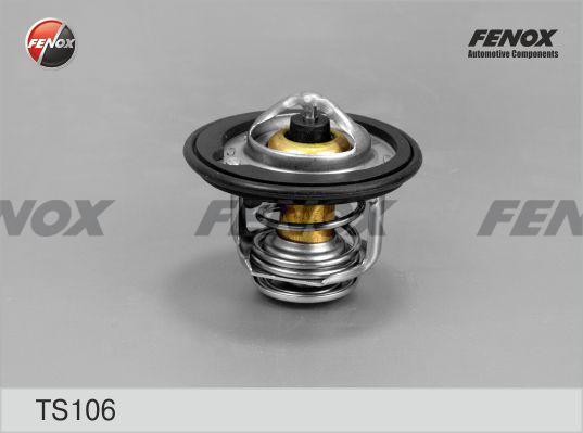 Термостат TS106 FENOX