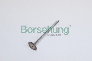 Клапан впускной SKODA Octavia,Yeti (10-) (1.2TSI) двигателя BORSEHUNG B19022 BORSEHUNG