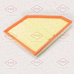 фильтр воздушный прав.!\ BMW X5(E70) 07> TBC1088 TATSUMI