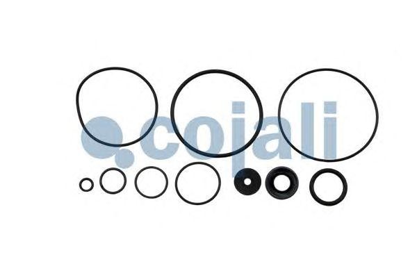 Ремкомплект MAN SCANIA VOLVO клапана ускорительного COJALI 6012033 COJALI