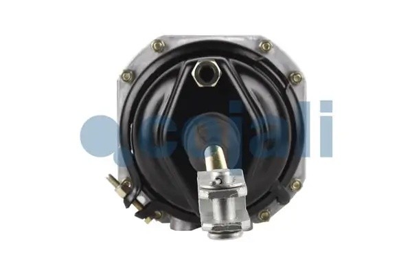 Энергоаккумулятор (кулачковый тормоз) TYPE20/24 аналог Wabco 9253201590 2251400 COJALI