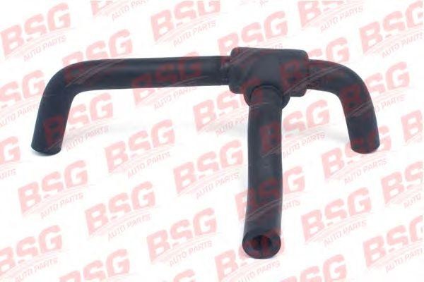 Шланг FORD Focus (95-01) вентиляции картера BSG BSG30720069 BSG