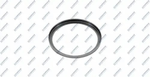 кольцо стопорное! КПП\ ZF K2001554 KACMAZLAR