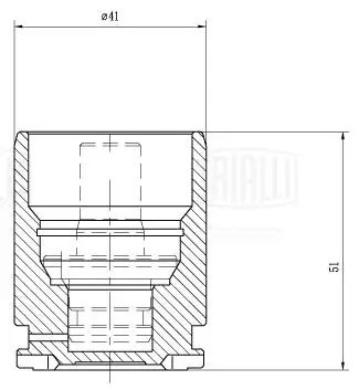 Поршень суппорта задний d=41 мм RCF185106 TRIALLI