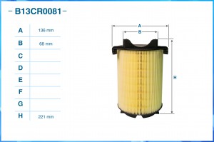 Фильтр воздушный B13CR0081 B13CR0081 CWORKS