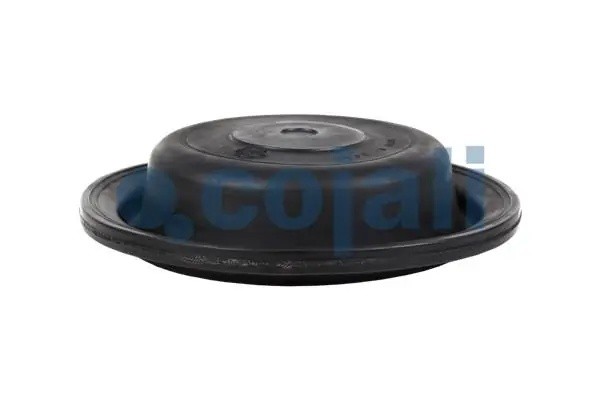 Диафрагма энергоаккумулятора T20 6001114 COJALI