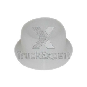 DAF 95 (1987-1998) D=25 375 66 031 TRUCKEXPERT