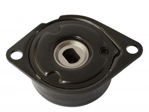 Натяжитель ремня приводного VAG 1.9D/2.4D/2.5 (INA 533008630) AG00108 AG00108 MILES