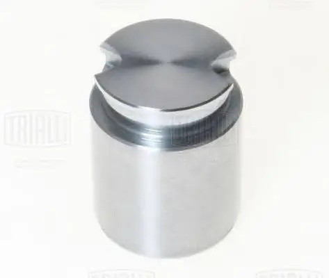 Поршень суппорта задний d=34 мм RCF084730 TRIALLI