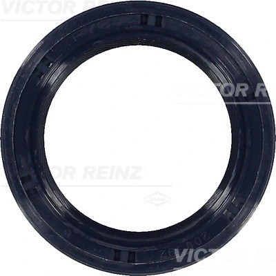 LACETTI (2003>) 81-53441-00 VICTOR REINZ