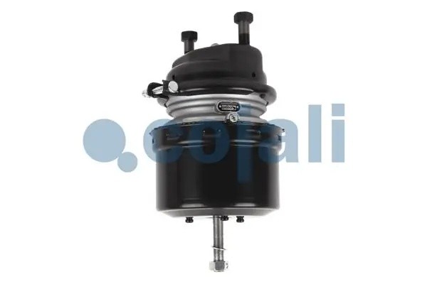 Энергоаккумулятор MERCEDES тип 16/24 (дисковый тормоз) COJALI 2251516 COJALI