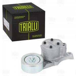 Ролик привод. ремня Toyota LC Prado (09-) 2.8d [GD] (с натяж. мех.) (CM 5980) CM 5980 TRIALLI