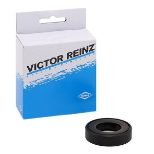 PEUGEOT BOXER (1994-2002)/307 (2001-2007) 81-38027-00 VICTOR REINZ