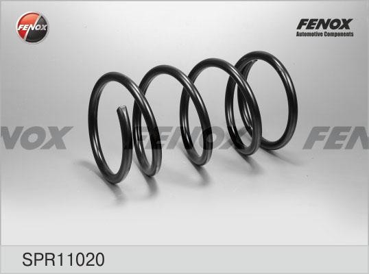 Пружина передняя  2шт SPR11020 FENOX