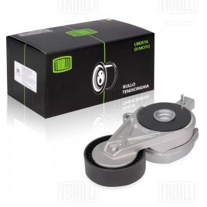 Ролик генер. с натяж. мех. Skoda Octavia (04-) CM1806 CM 1806 TRIALLI