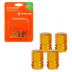 Колпачок камеры K-1 (золотые, металл) 4 шт. AVC10 AIRLINE