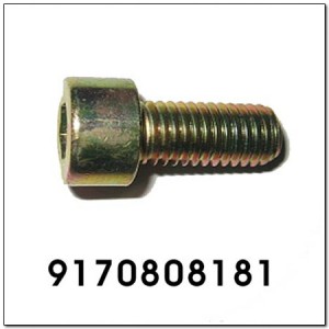 Болт SSANGYONG Actyon (06-/10-),Kyron (05-),Actyon Sport (06-),Rexton (03-) корз 9170808181 SSANG YONG