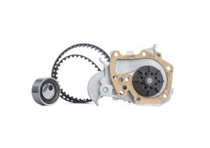 Комплект ГРМ с насосом RENAULT LOGAN 1.4/1.6 04-11/09 KD066 KD066 DOLZ