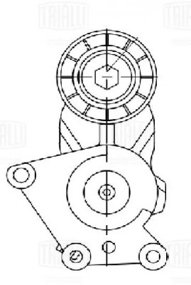Ролик привод. ремня Peugeot 307 (00-) 1.4d/1.6d (с натяж. мех.) d46 (CM 5275) CM5275 TRIALLI