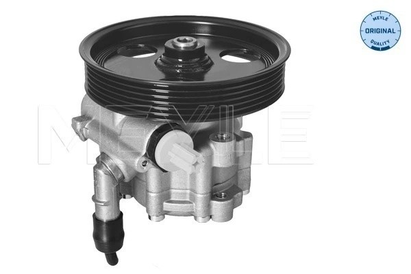 Насос гидроусилителя руля DACIA DUSTER, DUSTER/SUV RENAULT DUSTER 1.5 1614631000 16146310005 MEYLE