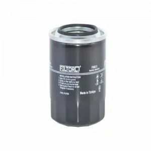 Фильтр топливный MITSUBISHI / KOMATSU / TAKEUCHI F6031 FILTORQ