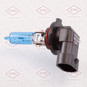 HB3 12V-60W P20D TFN1001B TATSUMI