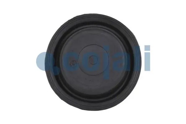 Диафрагма энергоаккумулятора T20 6001114 COJALI