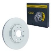 DOBLO 2001 > / PUNTO 1999 > 257x20x4 GIJ06187 GANZ