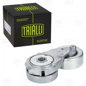 Ролик привод. ремня Nissan Qashqai (06-)/X-Trail (07-) 2.0i (с натяж. мех.) (под CM 1403N TRIALLI