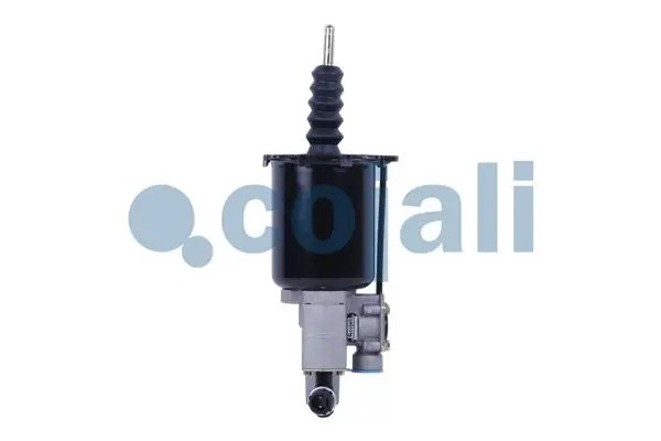 ПГУ MAN TGA COJALI 2250249 COJALI