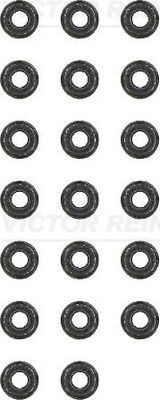 VAG/ GM/ CITROEN/ PEUGEOT/BMW К/КТ 20 шт 12-31306-03 VICTOR REINZ
