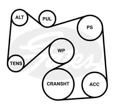 рем.к-кт НО!Ford Focus/Maveric/Transit 1.8-2.0i 98> K016PK2100 GATES