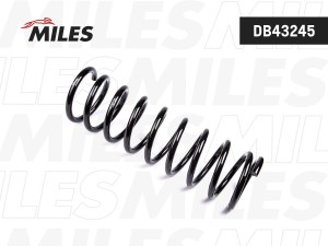 Пружина задней подвески Chevrolet NIVA (LESJOFORS 42 142 11) DB43245 DB43245 MILES