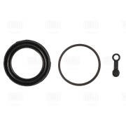 Ремкомплект суппорта Peugeot 206 (00-)/207 (06-)/Citroen C2 (03-) перед. d=54мм  RCF012007 TRIALLI